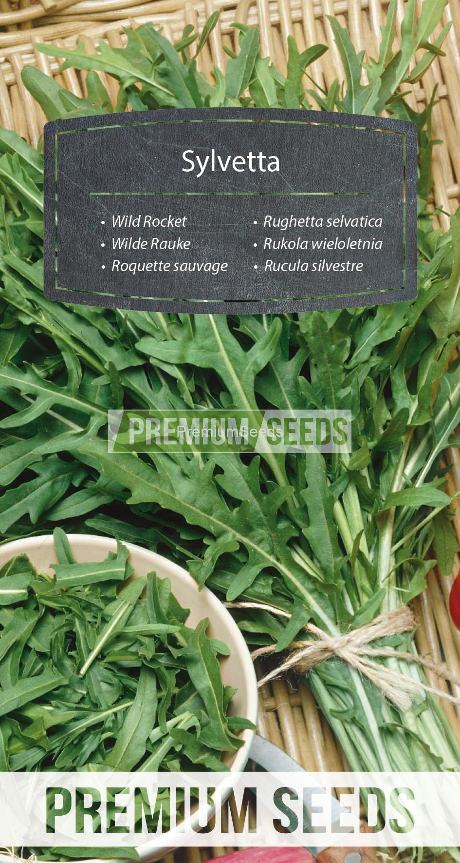 100_WORLD G4700927_RGB_VS Wild Rocket - seeds