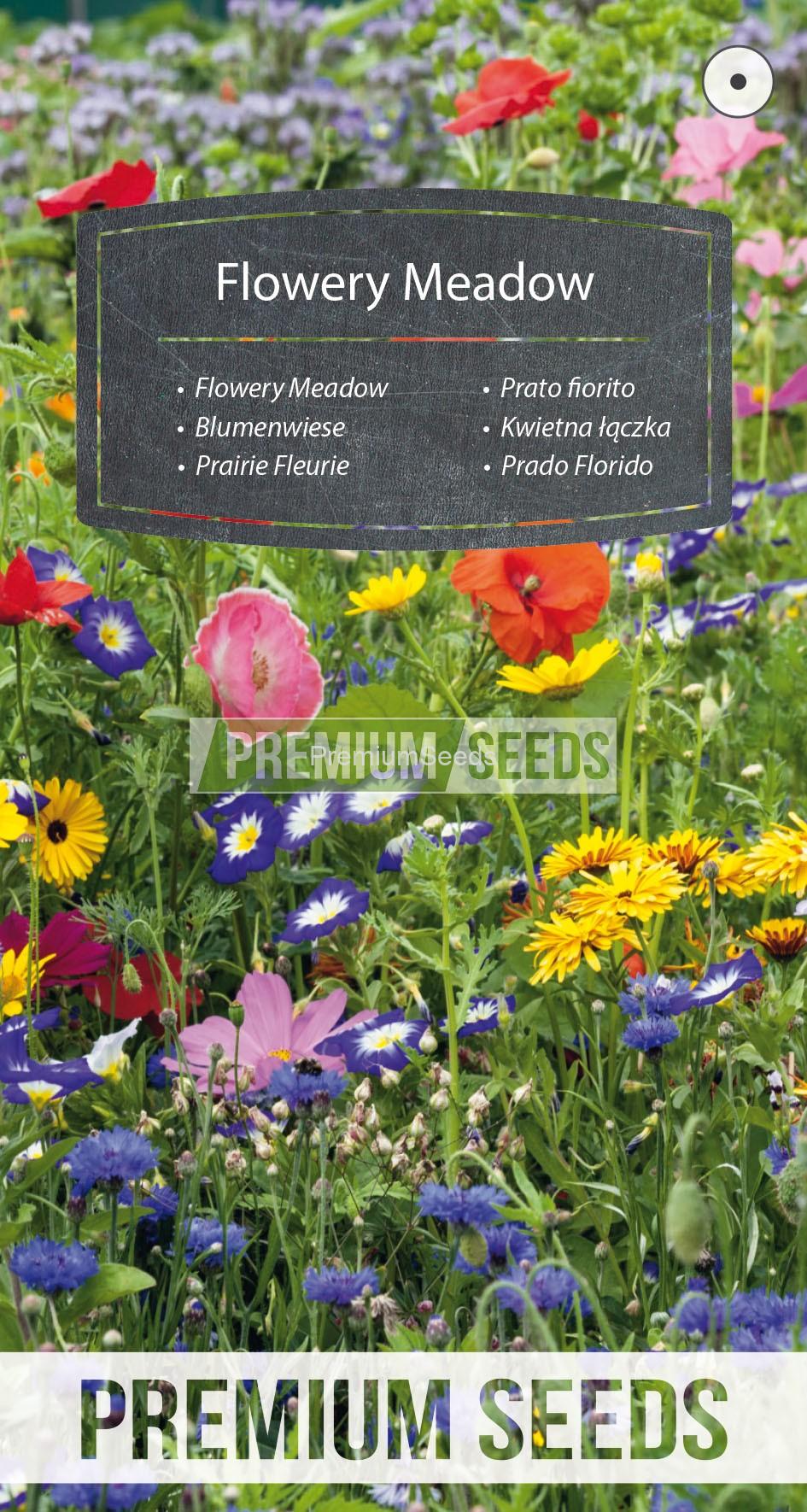 104_WORLD N1522192_RGB_VS Flowery Meadow - a seed mix of over 40 species - seeds
