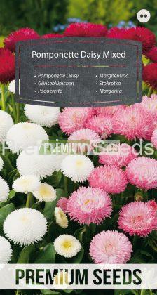 Pomponette Daisy - a selection of varieties - seeds