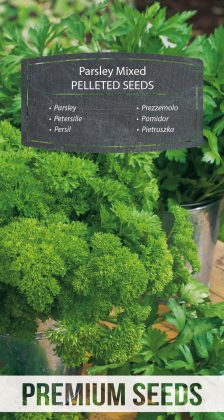 Parsley - a selection of varieties - PELLETED SEEDS