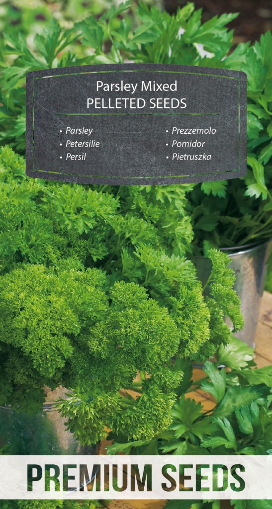 Parsley a selection of varieties PELLETED SEEDS PremiumSeeds