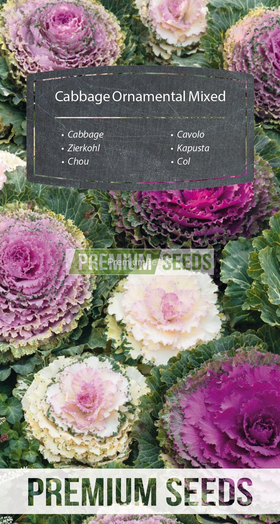 109_WORLD N1525289_RGB_VS Cabbage Ornamental Mixed - seeds