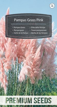Pampas Grass Pink - seeds