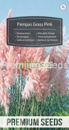 Pampas Grass Pink - seeds