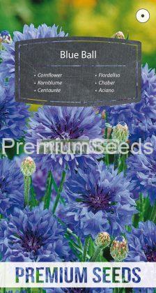 Cornflower Blue Ball - seeds
