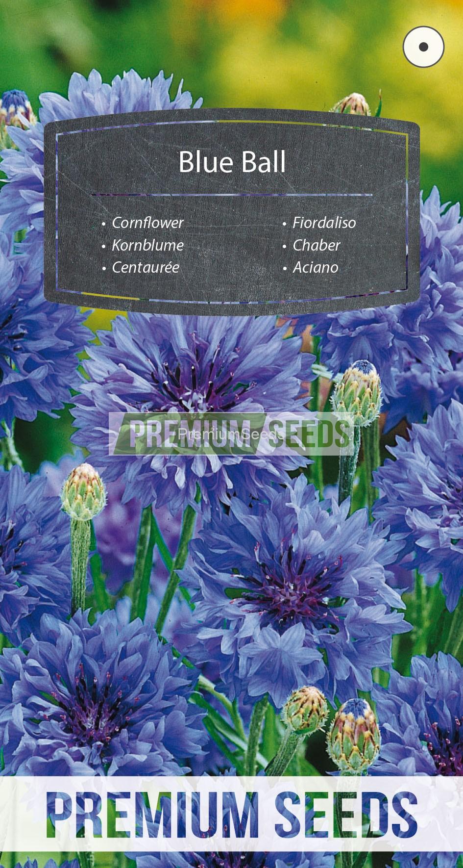 112_WORLD G4500242_RGB_VS Cornflower Blue Ball - seeds
