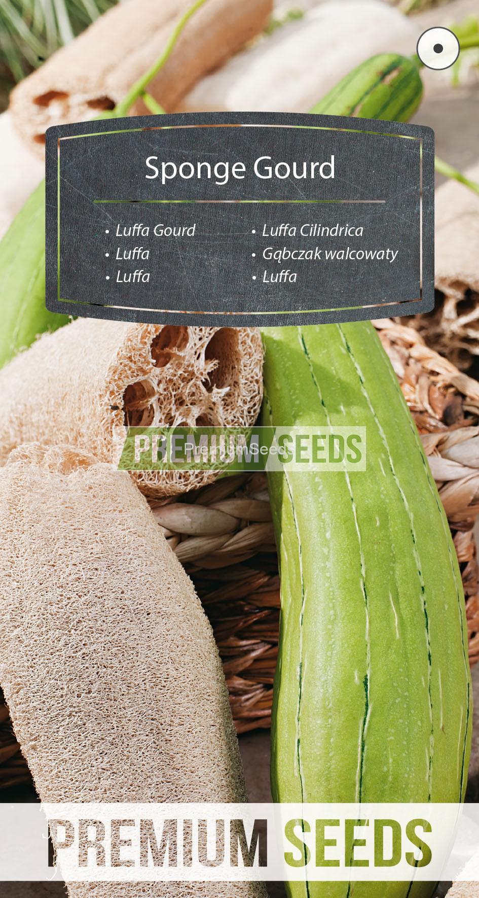 116_WORLD 14242515_RGB_VS Luffa Gourd, Sponge Gourd - seeds