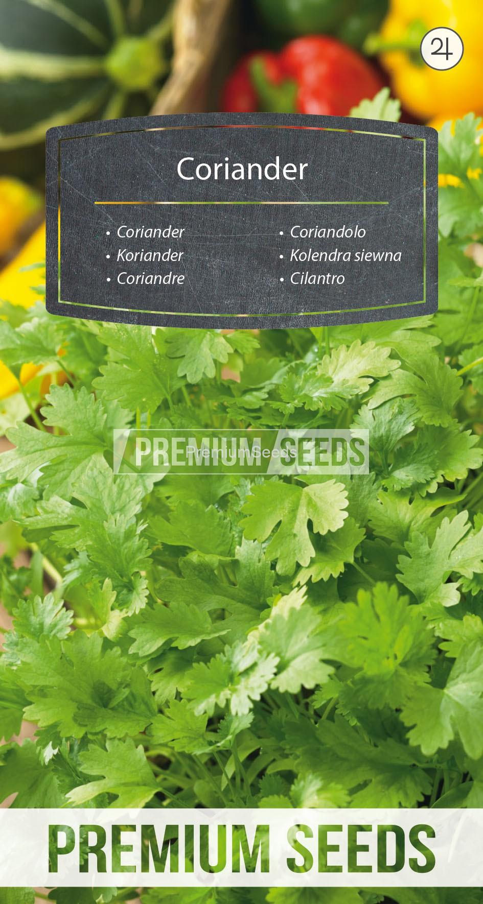 11_WORLD N1712374_RGB_VS Coriander - seeds