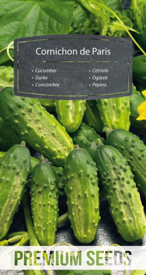 Cucumber Cornichon de Paris Gherkin - seeds