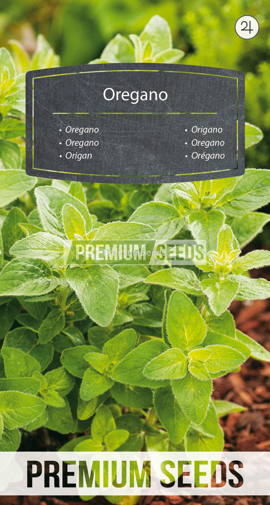 18_WORLD 14309669_RGB_VS Oregano - seeds
