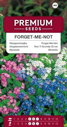 Alpine Forget-Me-Not – a selection of varieties – seeds