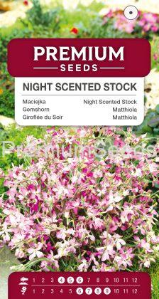Night Scented Stock – seeds