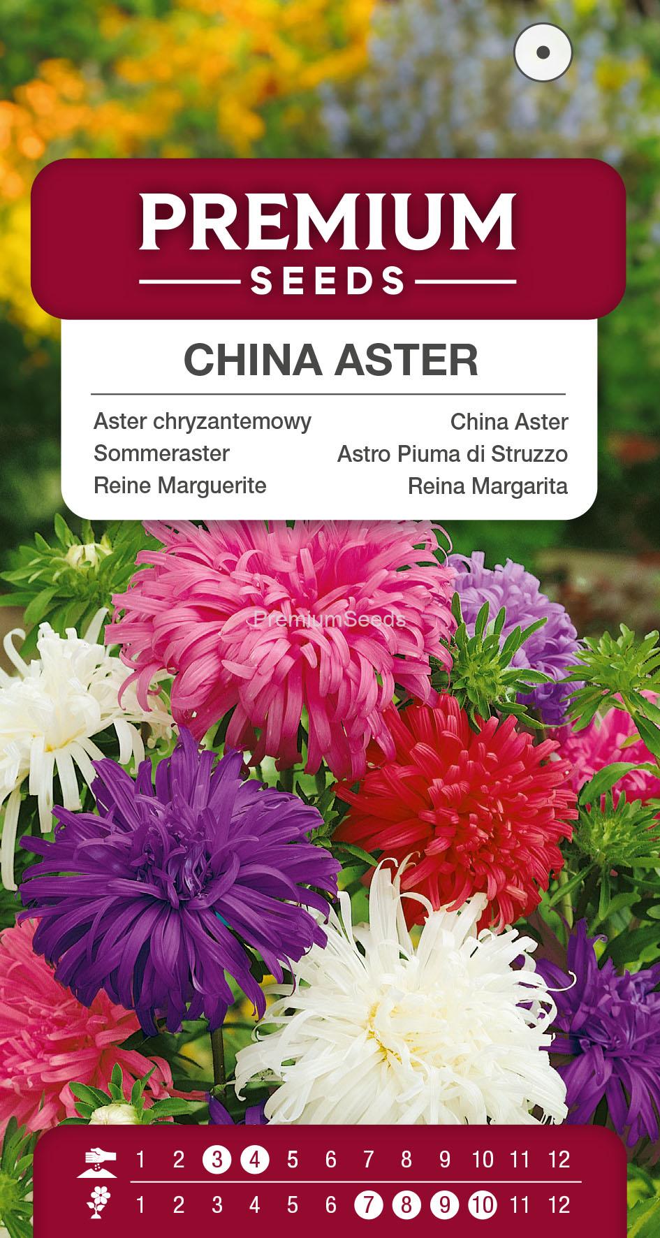1SWIA-WO-BL-12266_VS China Aster – Ostrich Feather – Mixed – seeds