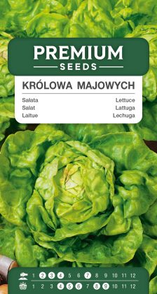 Lettuce May Queen – seeds