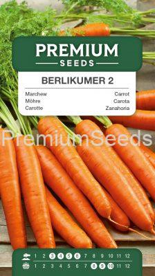 Carrot BERLIKUMER 2 – PERFECTION (“Berlikumer 2 – Perfekcja”) – seeds