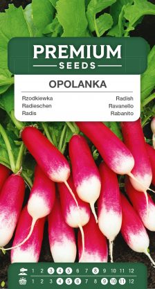 Radish Opolanka – seeds