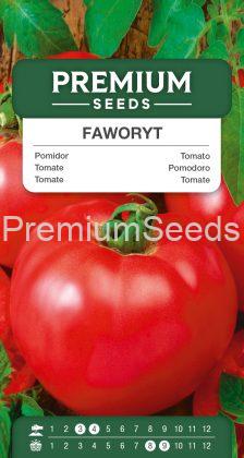 Tomato Favourite – seeds