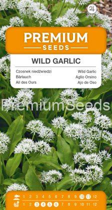 Wild Garlick – Bear’s Garlic – Ramsons – seeds