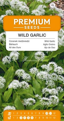 Wild Garlick – Bear’s Garlic – Ramsons – seeds