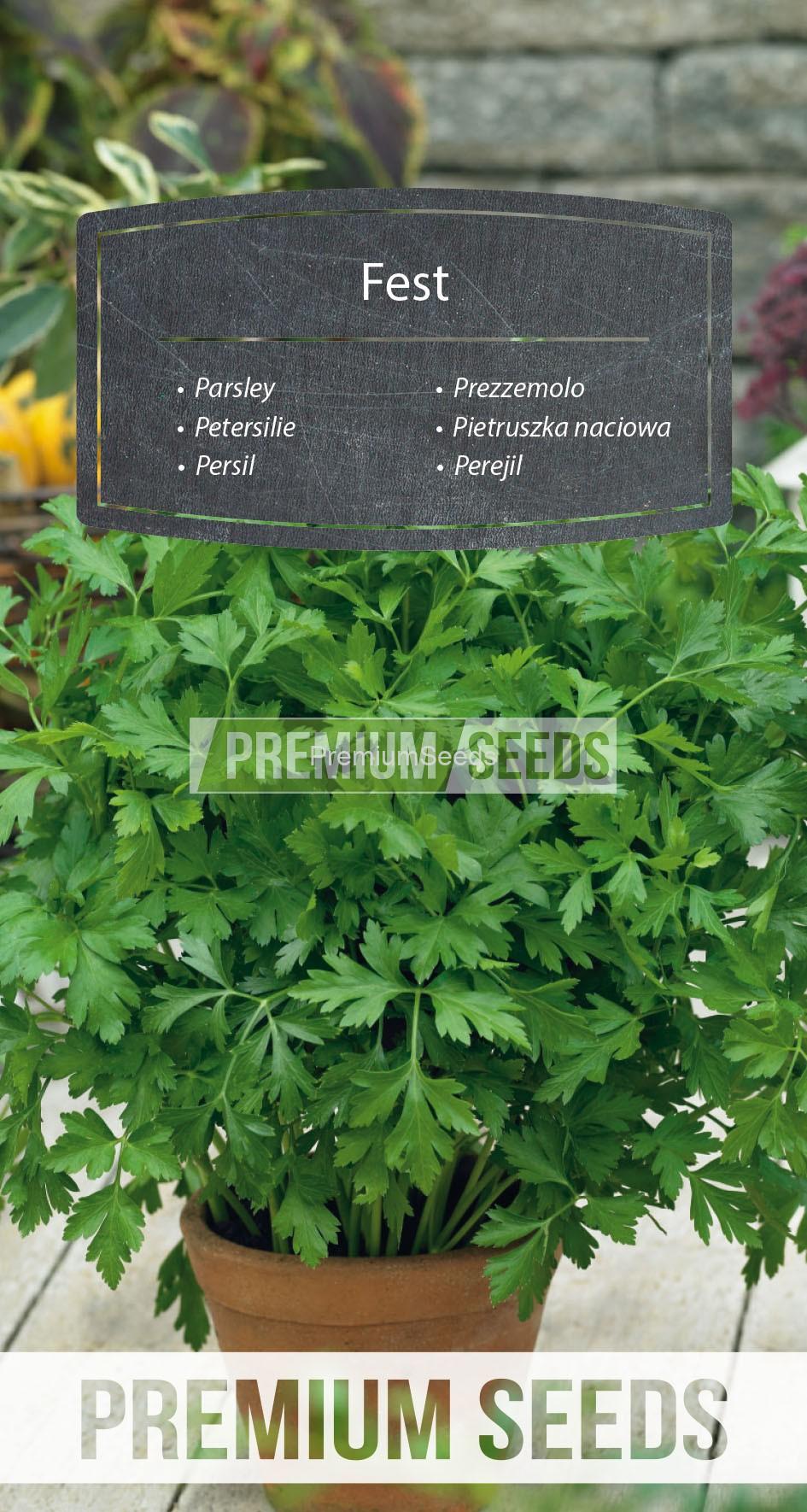 20_WORLD N1703864_RGB_VS Parsley Fest - seeds