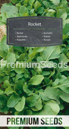 Rocket - seeds