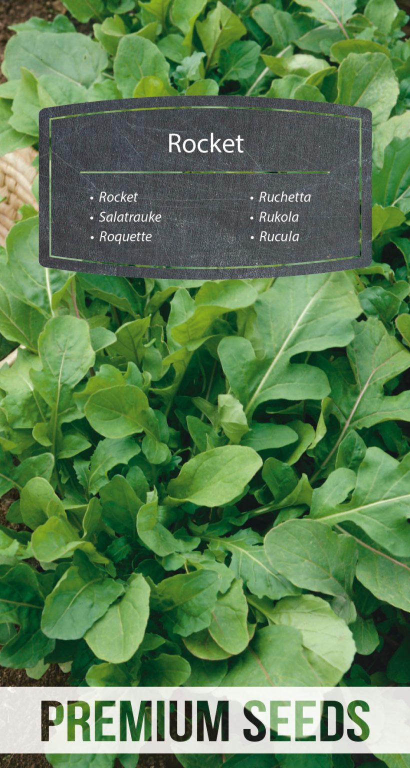 Rocket PremiumSeeds producer of seeds