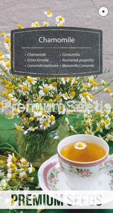 Chamomile - seeds