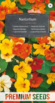 Garden Nasturtium - seeds