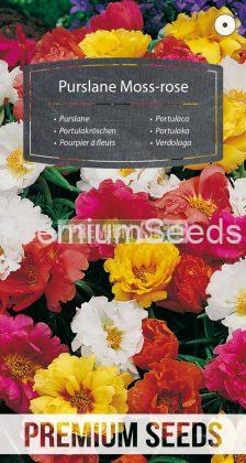 Purslane Moss-rose - seeds