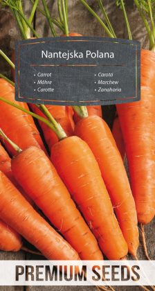 Carrot Nantejska Polana - seeds