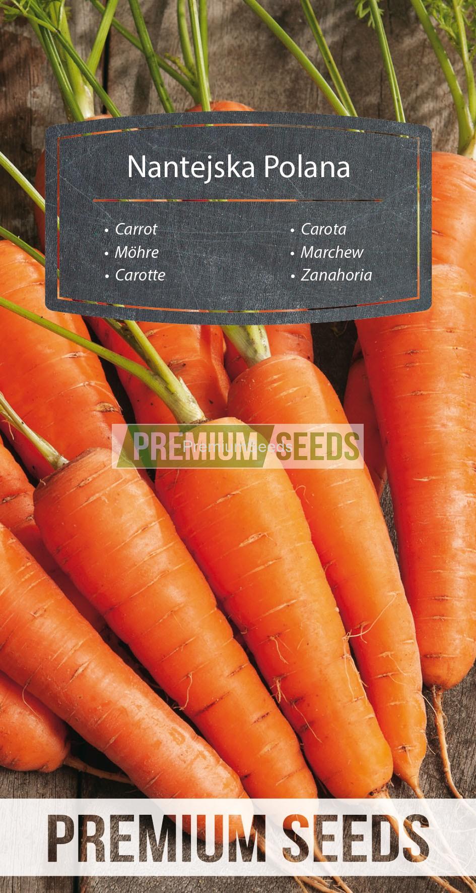 50_WORLD 14311997_RGB_VS Carrot Nantejska Polana - seeds