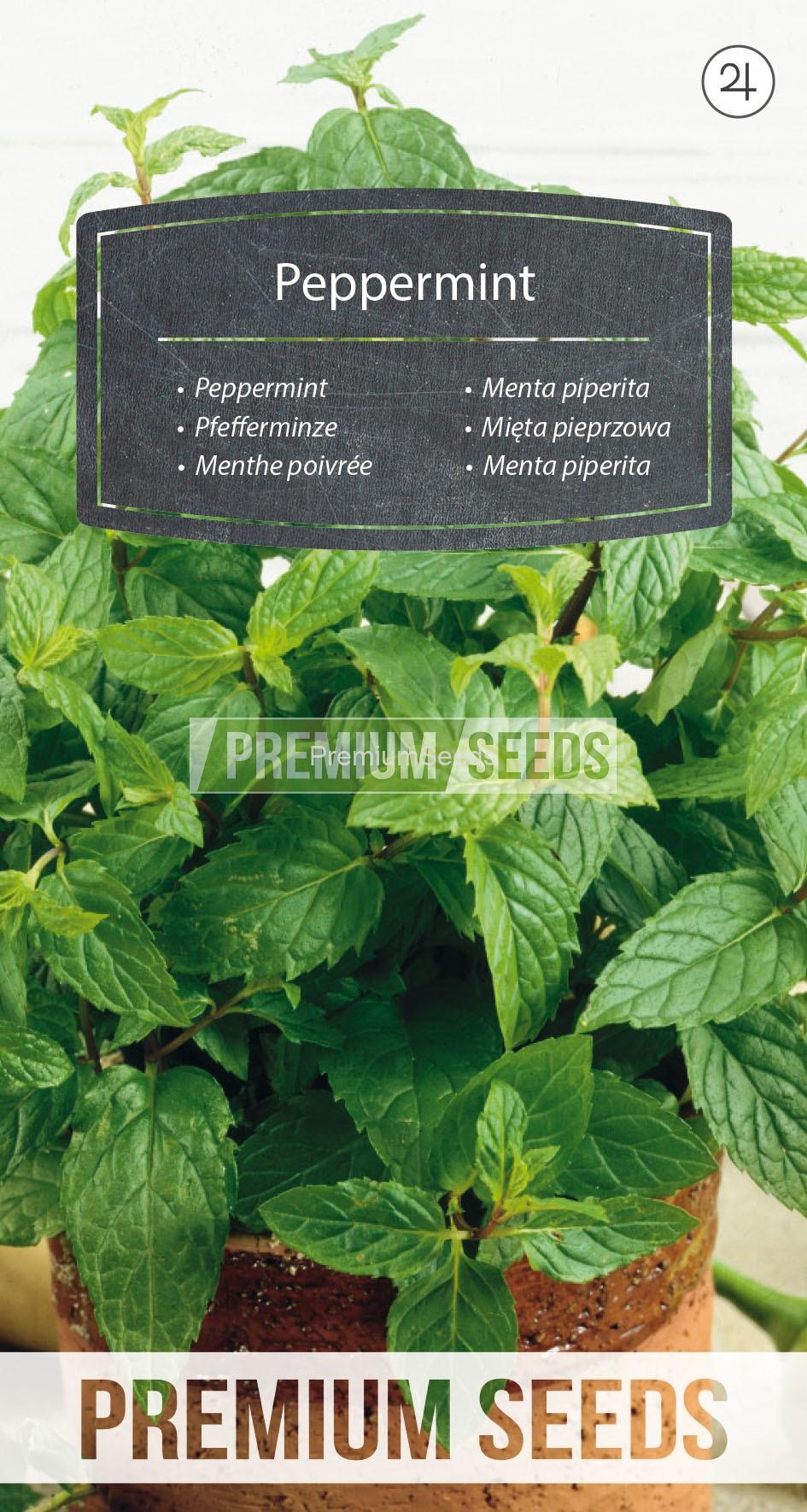 53_WORLD 71 60 02_RGB_VS Peppermint - seeds