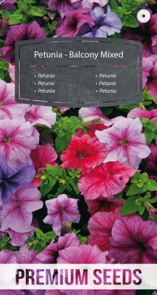 Petunia - a selection of balcony varieties - seeds