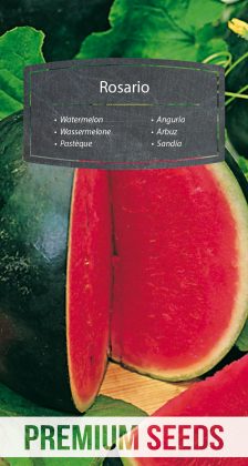 Watermelon Rosario - seeds