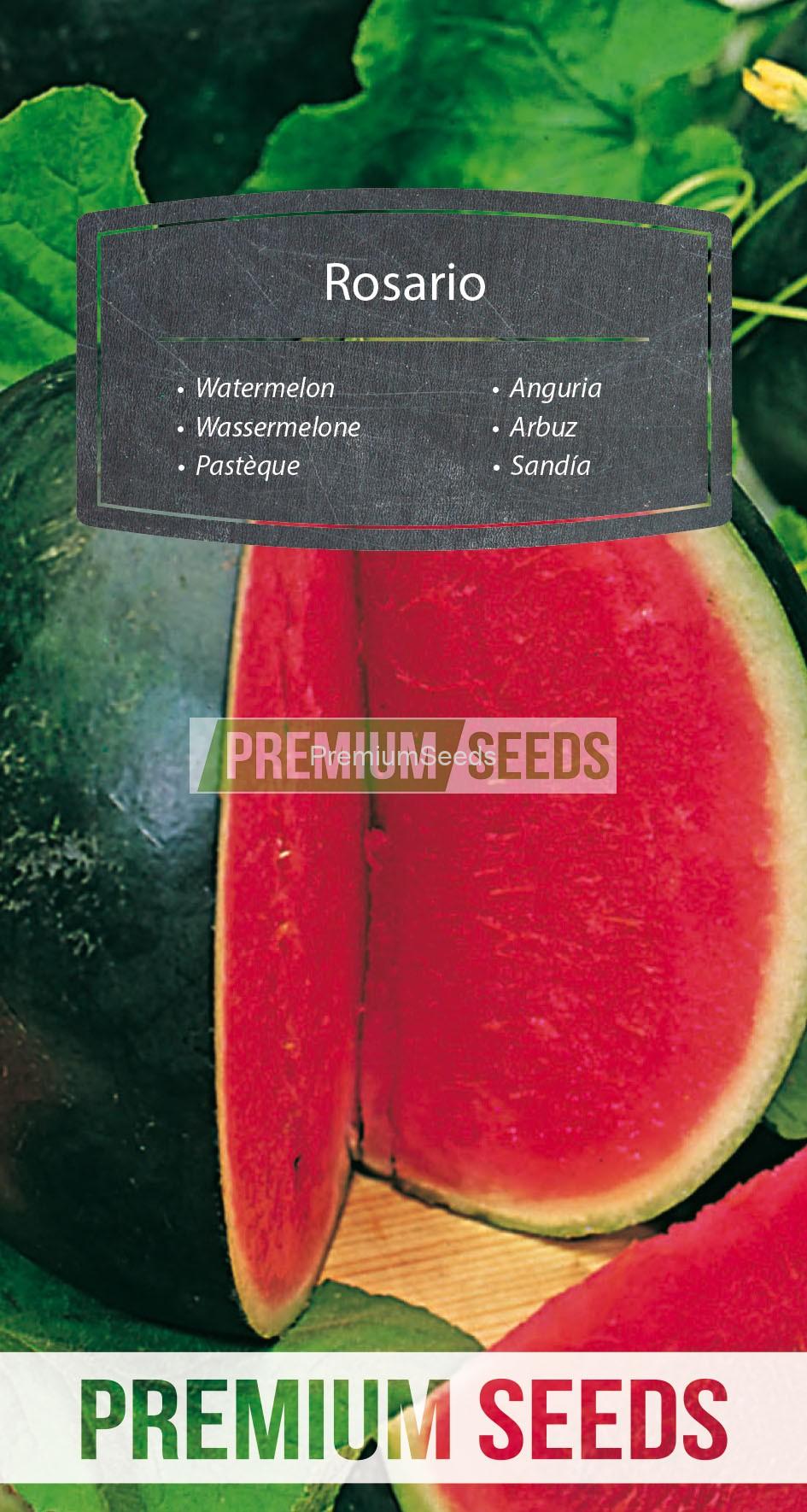 74_WORLD 13001063_RGB_VS Watermelon Rosario - seeds