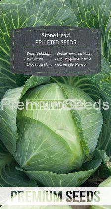 White Cabbage Stone Head - PELLETED SEEDS