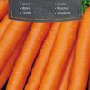 Carrot Nantes 3 - PELLETED SEEDS