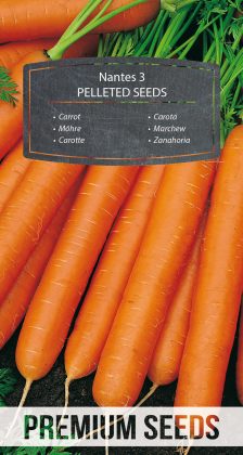Carrot Nantes 3 - PELLETED SEEDS