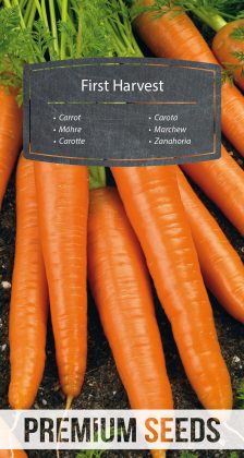 Carrot First Harvest - seeds