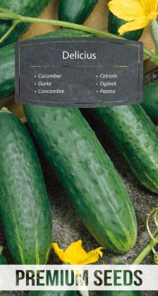 Cucumber Delicius - seeds