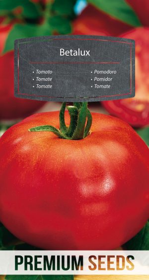 Tomato Betalux - seeds