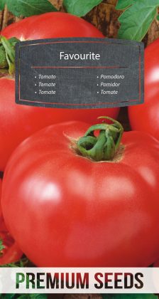 Tomato Favourite - seeds