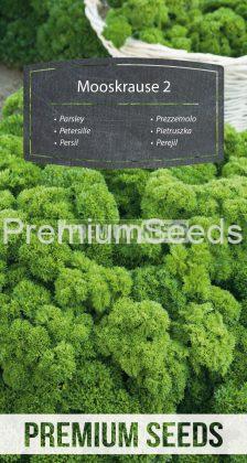 Parsley Mooskrause 2 - seeds