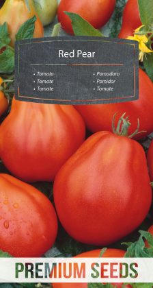 Tomato Red Pear - seeds
