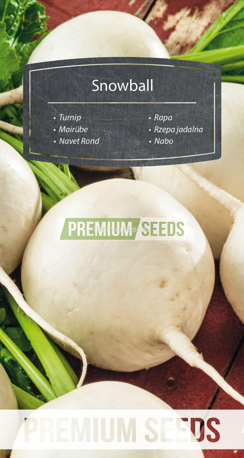 92_WORLD N1710660_RGB_VS Turnip Snowball - seeds