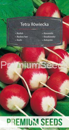 Radish Tetra Ilowiecka - seeds