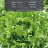 Lettuce Regina Dei Ghiacci Iceberg - seeds