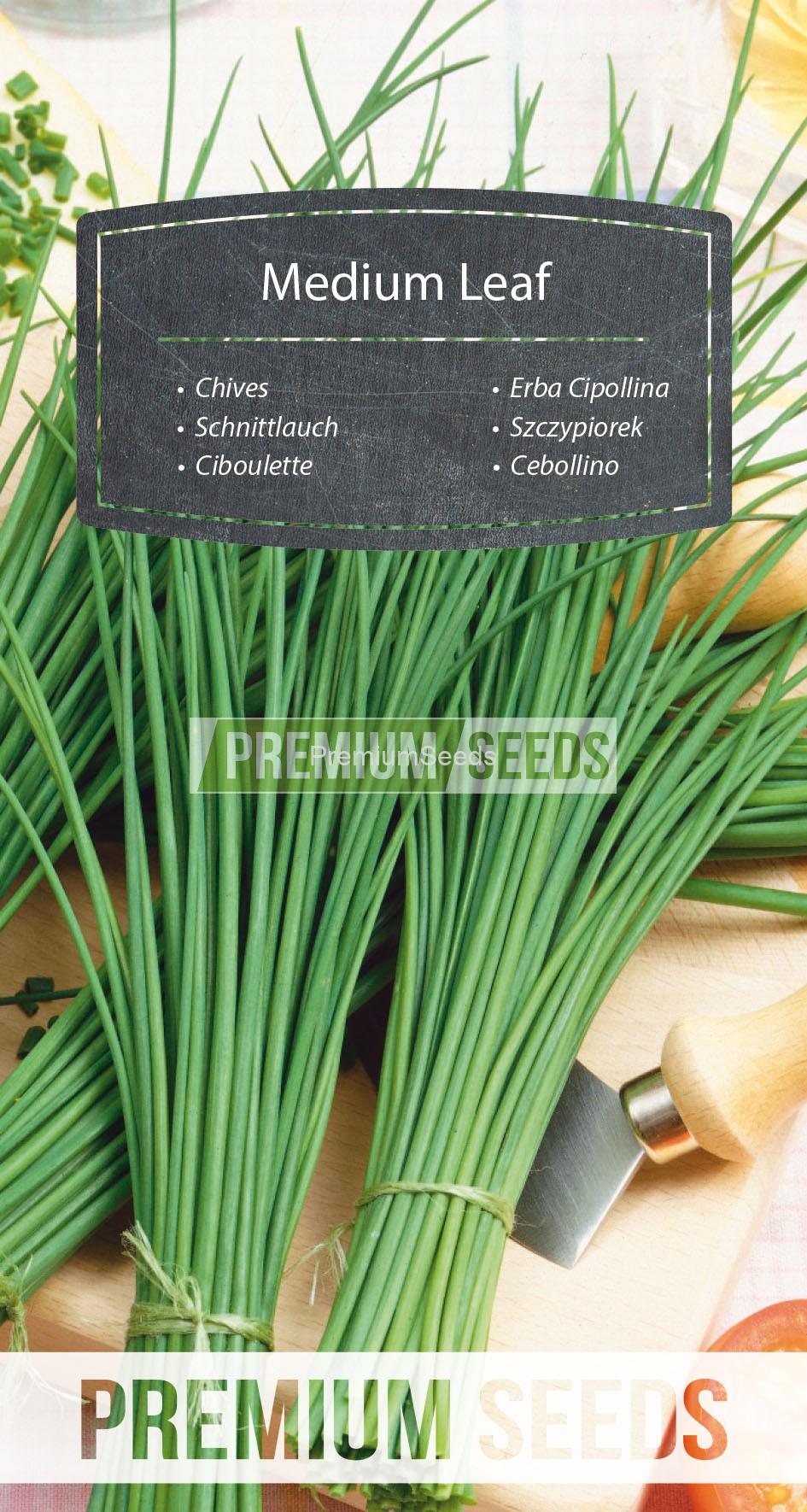 96_WORLD 94 80 03_RGB_VS Chives Medium Leaf - seeds