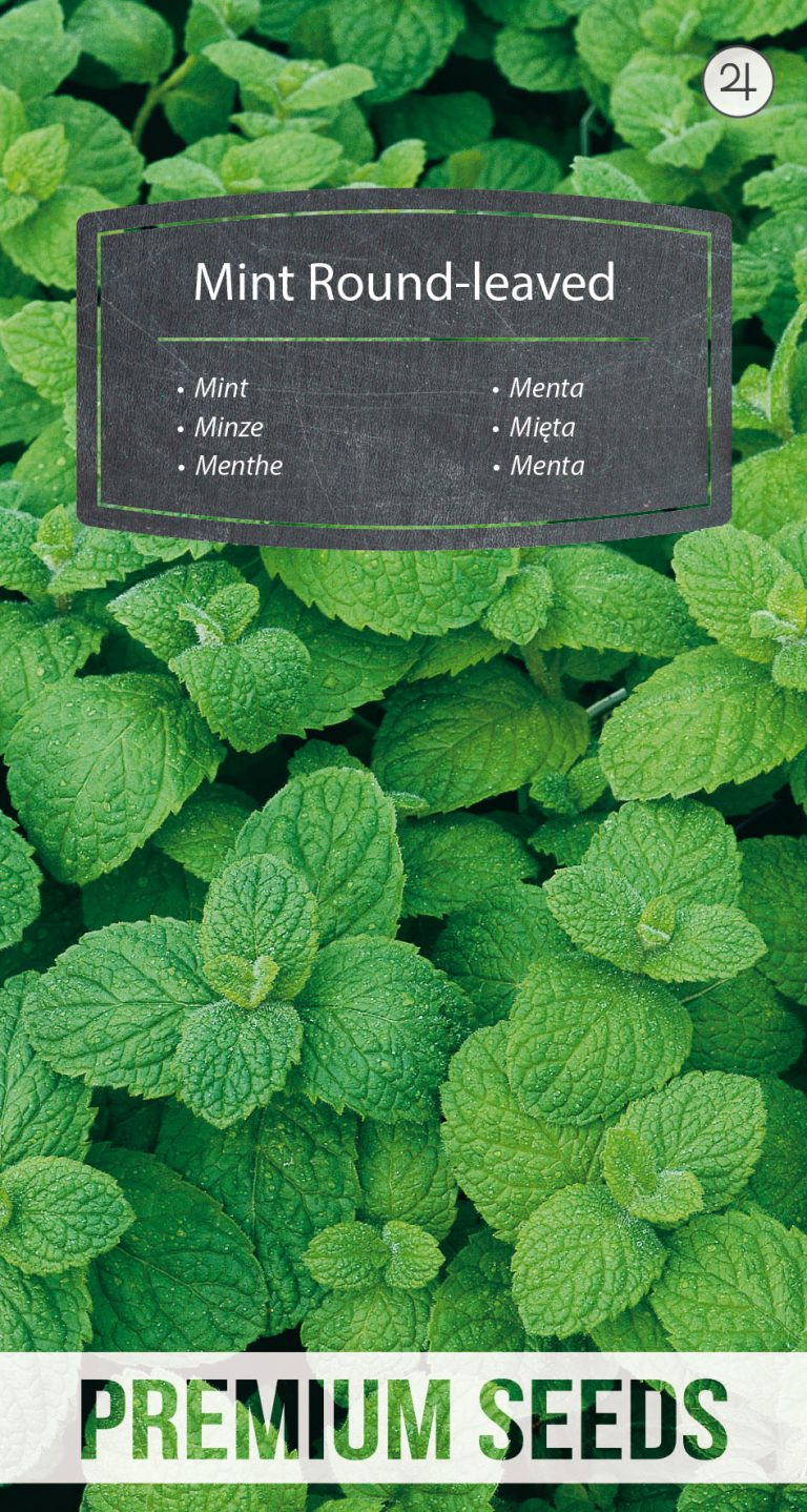 Mint Roundleaved PremiumSeeds producer of seeds