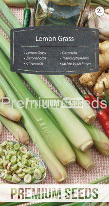 Lemon Grass - seeds